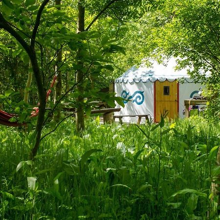 Plush Tents Yurt Village 奇切斯特 外观 照片