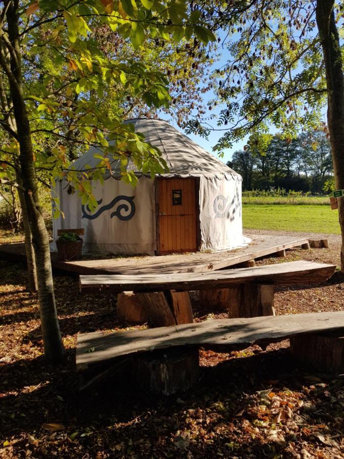 Plush Tents Yurt Village 奇切斯特 外观 照片