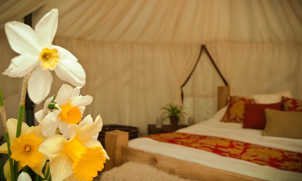 Plush Tents Yurt Village 奇切斯特 客房 照片