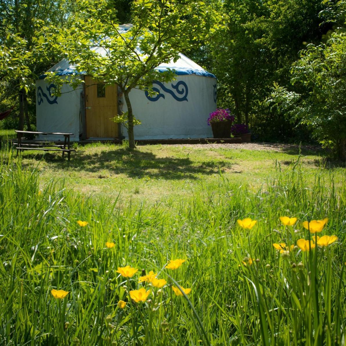 Plush Tents Yurt Village 奇切斯特 外观 照片