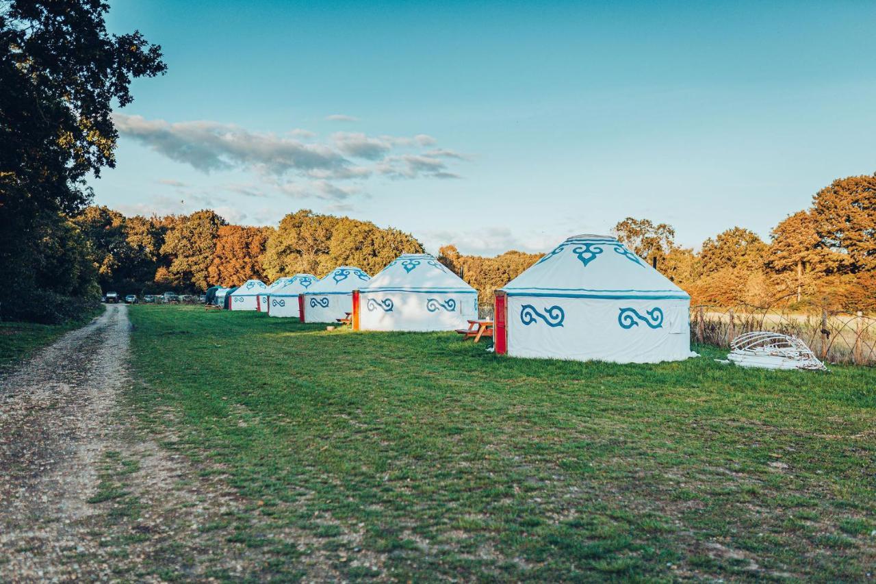 Plush Tents Yurt Village 奇切斯特 外观 照片